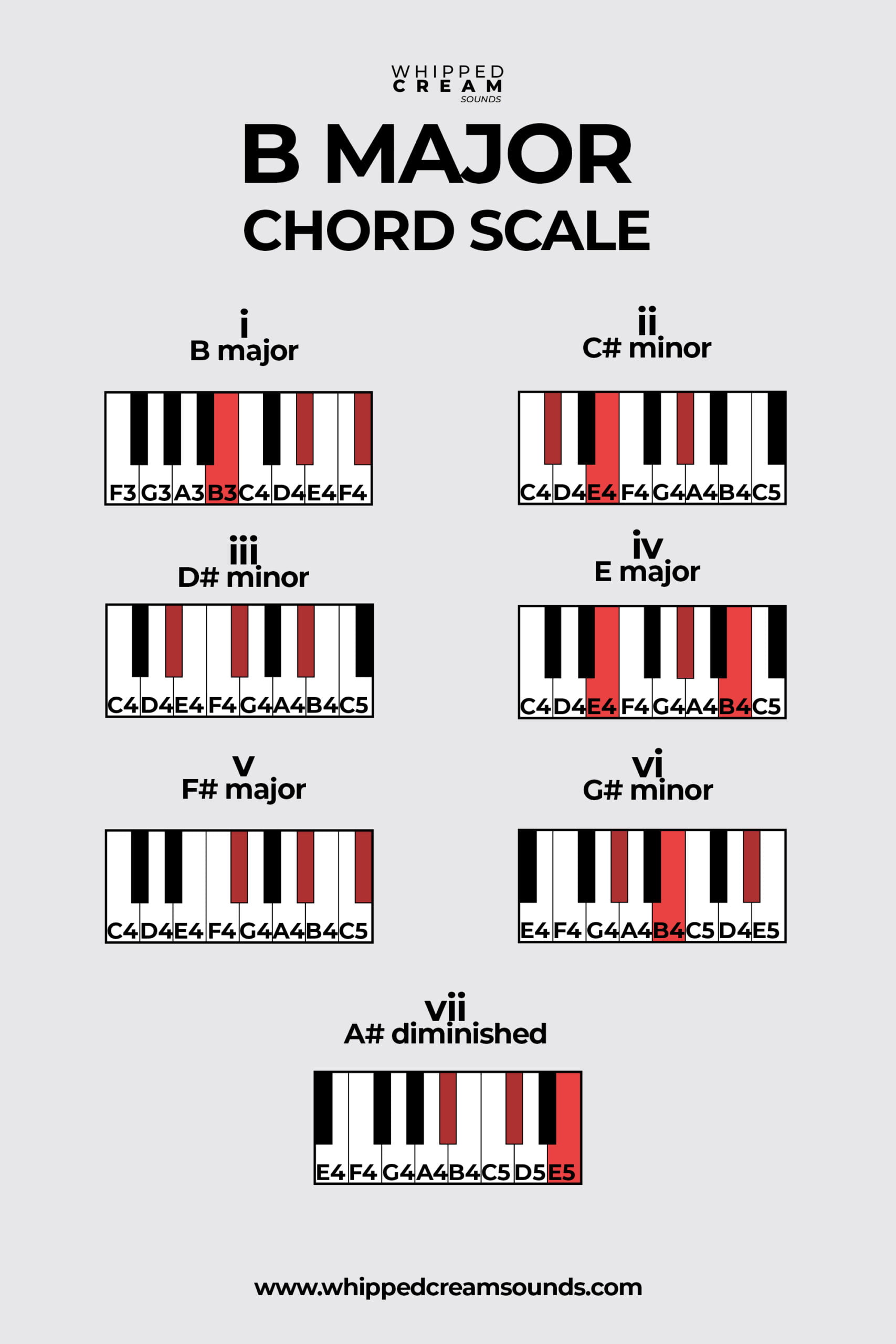 B Major Chord Scale Chords In The Key Of B Major